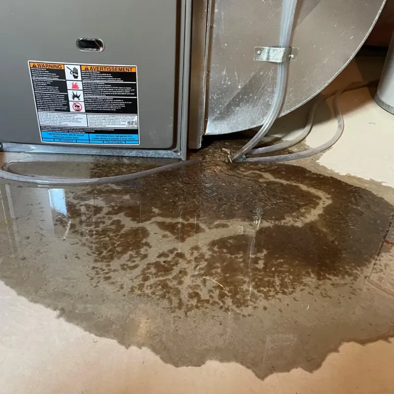 Appliance Leak Cleanup in Streetsboro, OH